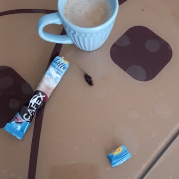 A101 Cafex İçinde Böcek Çıktı