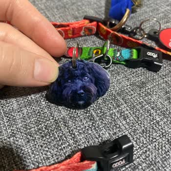 Tagsforever Ürün Ve Müşteri Memnuniyeti