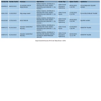SGK Bursa Sosyal Güvelik İl Müdürlüğü Sosyal Güvenlik Denetmenler Servisi