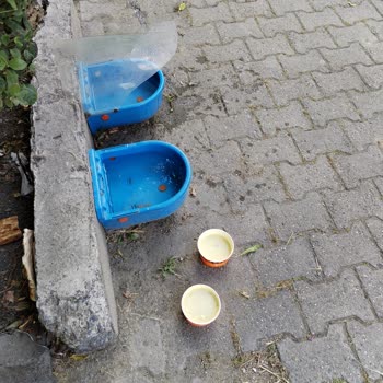 Köfteci Yusuf Yemek Siparişi Soğuk Geldi