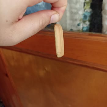 Ülker Kıl Çıktı Cici Bebeden