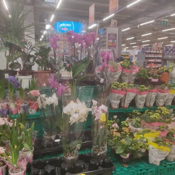 Alanya 5M Migros'ta Fiyat Sorunu