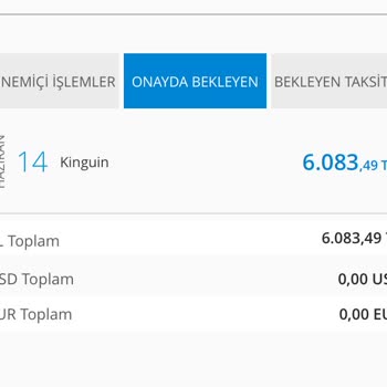 Kinguin.net Kartımdan Para Çekilmiş Bilmediğim Bir Site Ve Üye Olmadığım Siteden