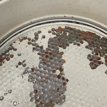 Schafer İlk Kullanımda Soyulma Ve Paslanma