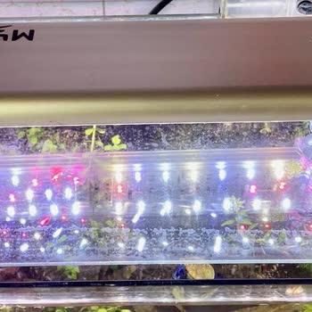 Mygos Teknoloji Ürünleri Dayanıksız, İlgisizler Ve Teknik Servis Yok