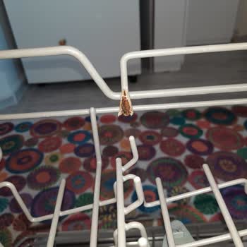 Samsung Bulaşık Makinesi Paslanıyor