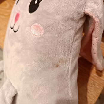 Yoyoso Ecrou Perlavista Çalışan Kişinin İlgisizliği