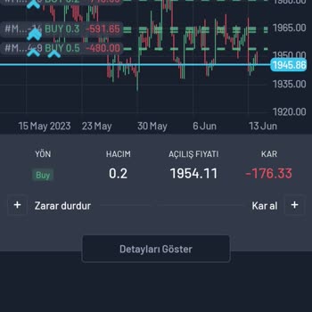 nglinvestment.com Paramı Vermiyor