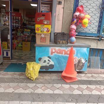 Panda Dondurma Dolap Almıyor
