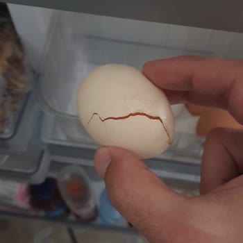 Siemens Ev Aletleri Burdur B/S/H Yetkili Servis