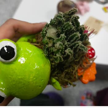 Çiçek Sepeti Kusurlu Ürün