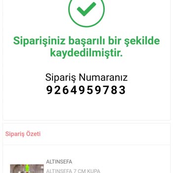 Altınsefa (altinsefa.com.tr) Altinsefa Hacamat Sitesi Sipariş Gelmemesi