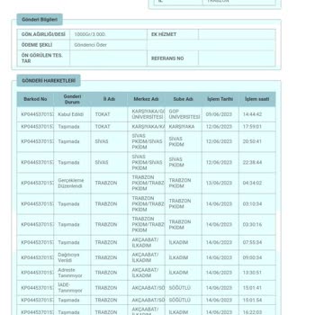 PTT Kargo Adresteki Yanlışlık Yüzünden Kargom Geri Gönderilmek Üzere