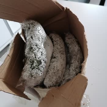 Çemrek Süslemeleri (cemreknikahsekeri.com) Aldığım Ürün Çok Kötü Paketlenmiş