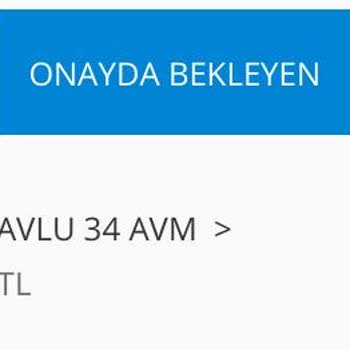 Mavi Ödeme İşlemleri Hakkında