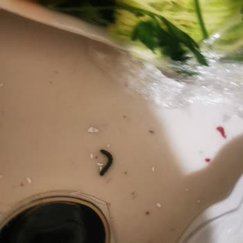 Kral Çiğ Köfte 'de Kurtlu Ürünler