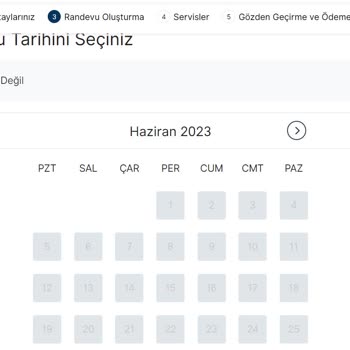 VFS Global Vize Randevusu Bulamama
