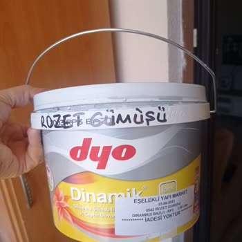 Dyo Boya Dio Rozet Gümüşü Aşırı Köyü