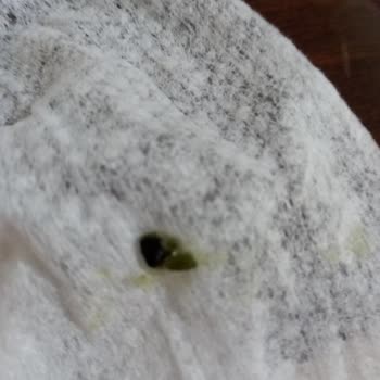 BİM Marketleri Taşkale Kuş Lokumu