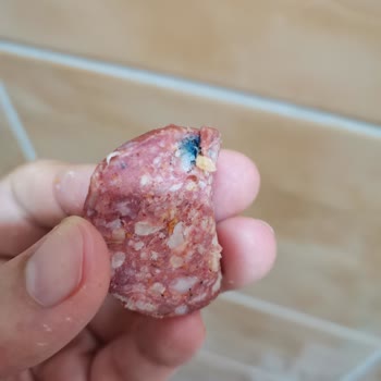 Akdeniz Toros Marka Sucuk Yeni Tarihli Küflü Çıktı