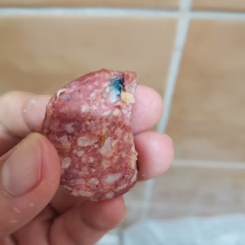 Akdeniz Toros Marka Sucuk Yeni Tarihli Küflü Çıktı