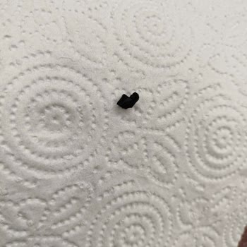 Şok Marketler Karmen Çikolatadan Çıkan Yabancı Cisim