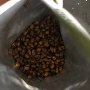 Yayla Bakliyat Ürün Maş Fasülye Haricinde Her Şeye Benziyor