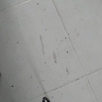 Polisan X1art İle Boyadığım Yerler Soyuldu