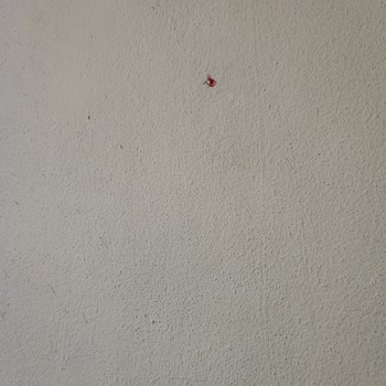 Raid Sivrisinek Kovucularının İşe Yaramaması