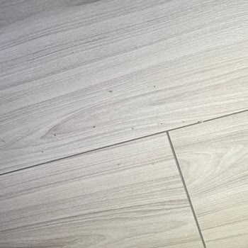 Floorpan Marka Parkede Ayıplı Mal Hatası