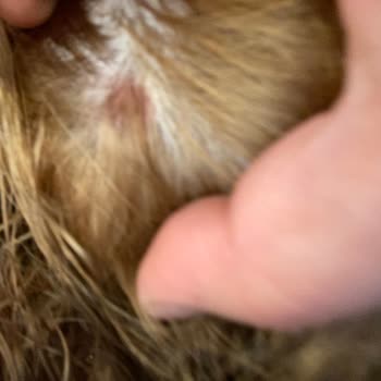 Palette 10-1. Müşteri Hizmetlerine Ulaşamamak Da Cabası!