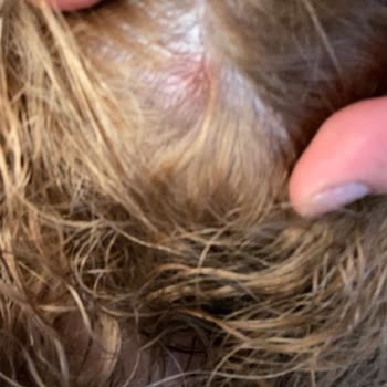 Palette 10-1. Müşteri Hizmetlerine Ulaşamamak Da Cabası!