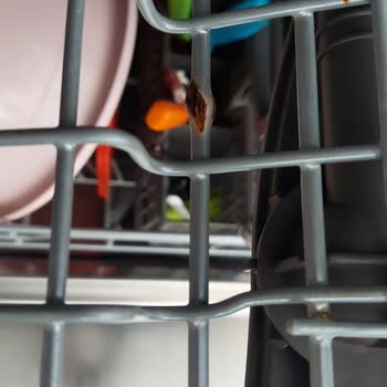 LG Bulaşık Makinesinin Sepetlerin Paslanması