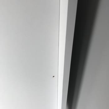 Vivense Lora Yatak Ve Odası Takımı Sipariş Gecikmesi Ve Montajda Verilen Hasar