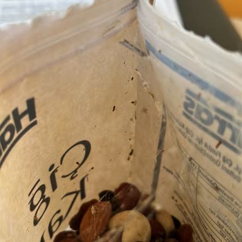 Harras Karışık Kuruyemiş İçinden Örümcek Ağ I Olması