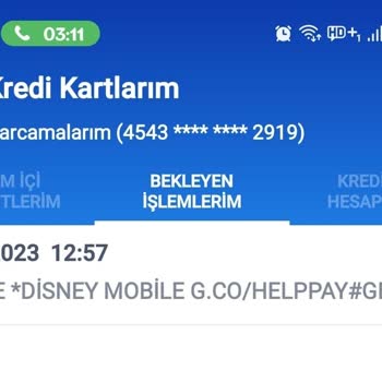Disney+ Üyelik İçin Haberim Olmadan Otomatik Yıllık Para Çekilmesi