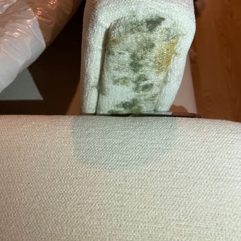 Vivense Koltuk Küf Lekeleri