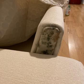 Vivense Koltuk Küf Lekeleri