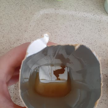 Dimes Meyve Suyu İçinde Kahverengi Parçalar