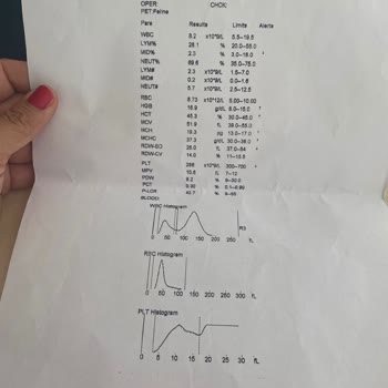 Anadolu Sigorta Art Niyetli Olarak Eksiksiz Evrakları Reddediyor