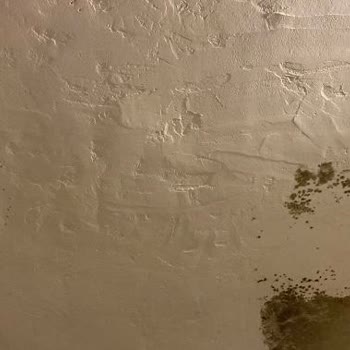 Re/Max Kusurlu Bir Mal Kiraladı