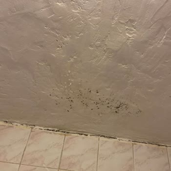 Re/Max Kusurlu Bir Mal Kiraladı