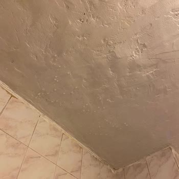 Re/Max Kusurlu Bir Mal Kiraladı