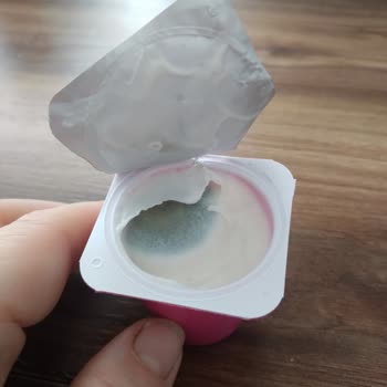 Danone Tikveşli Küflü Bozuk Çıktı