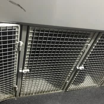 BURULAŞ Deniz Otobüsü Evcil Hayvan Kafese Kapatma