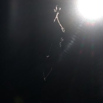 Arçelik Ürünün Değişimin Kabul Etmesini İstiyorum