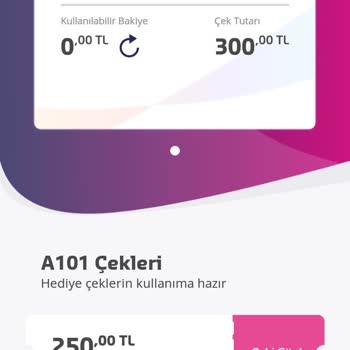 Sodexo Çeklerimi Neden A101 Mağazalarında Kullanamıyorum