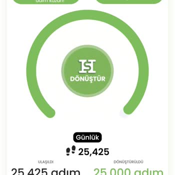 Bugün Atmış Olduğum Help Steps Adımlarım Tosla'ya Aktarılmadı