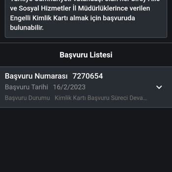 E-Devlet (Turkiye.gov.tr) Onaylanamayan Başvuru Süreci