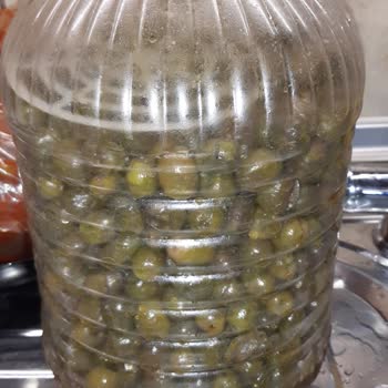 Paflar Peynir Kusurlu Ürün İadesinde Sipariş Bedelini Geri Ödeme Garantisi Yok